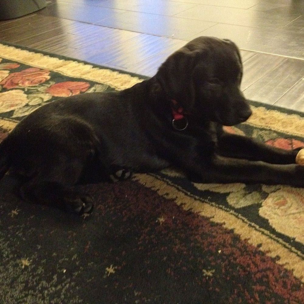 Meet your Posher, Angela